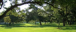 Mold Inspection Cameron Park Texas